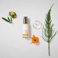 Dr. Hauschka Balancing Day Lotion